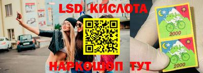 эйфоретик Бузулук