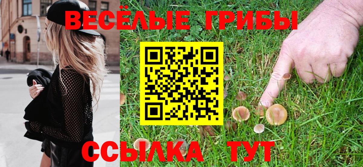 Псилоцибиновые грибы Cubensis Мелеуз